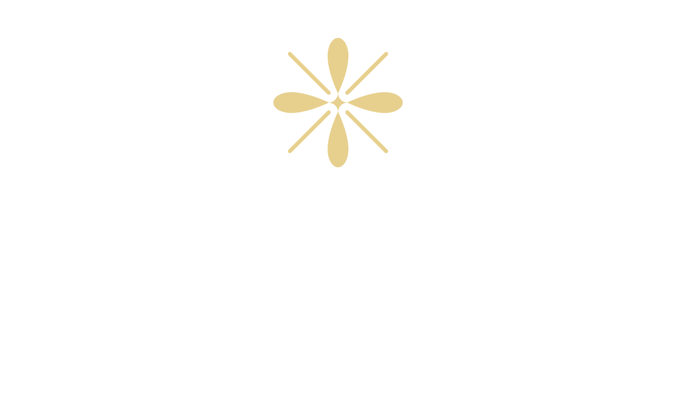 A logo with the word "SOLMERE" and a flower-like symbol above it, and the words "LAS VEGAS" below it.