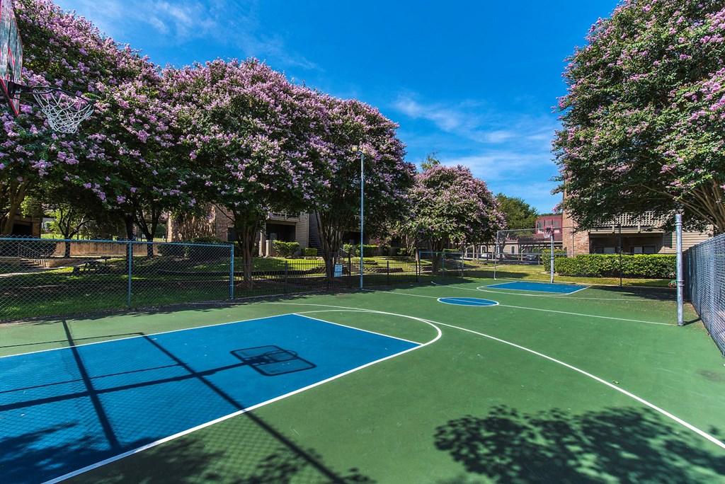 basketball court in austin texas apartments