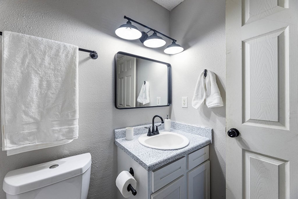 a bathroom with a sink and a toilet and a mirror