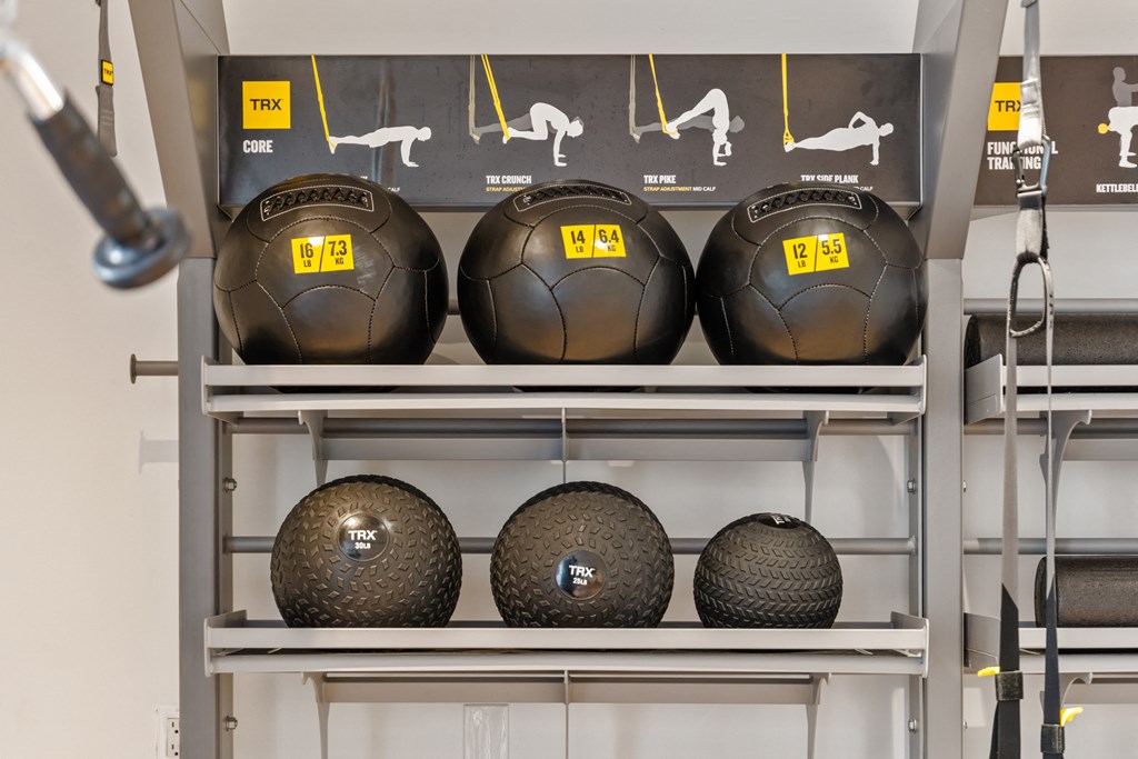 four soccer balls on a shelf in a store