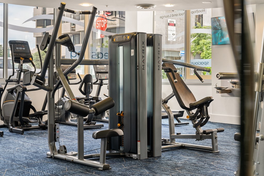 a row of exercise machines in a gym