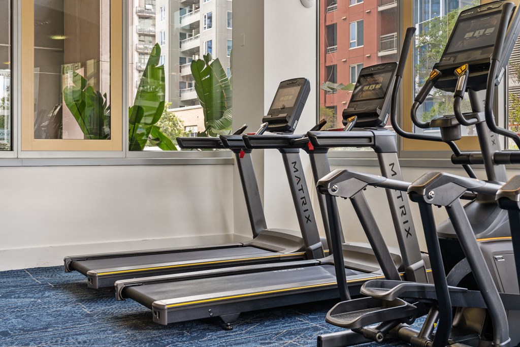 two rows of treadmills in a gym with a large window