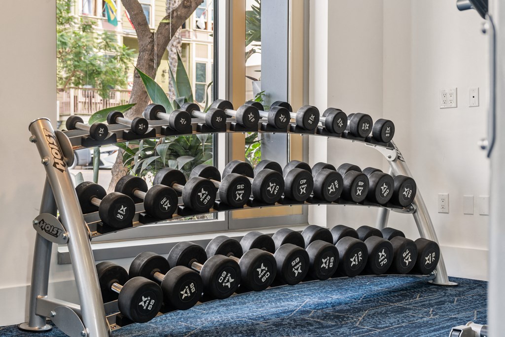 a row of dumbbells on a rack in a gym
