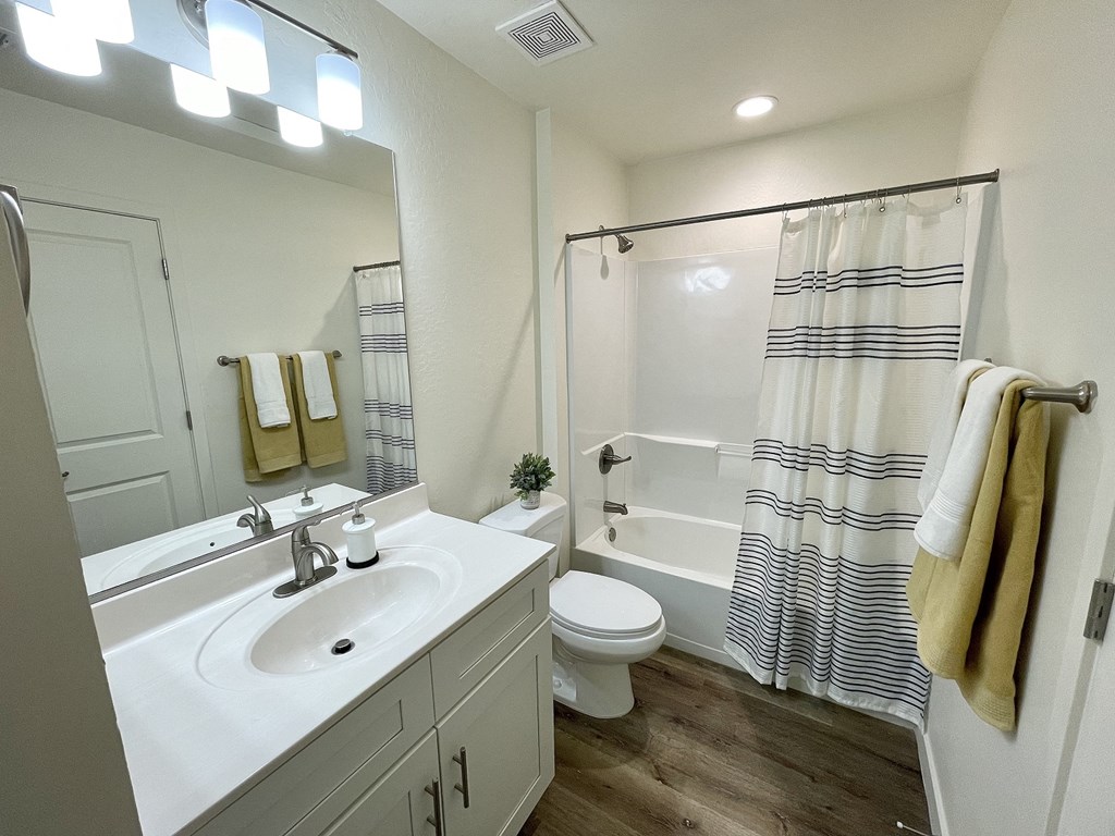 a bathroom with a sink and a toilet and a shower