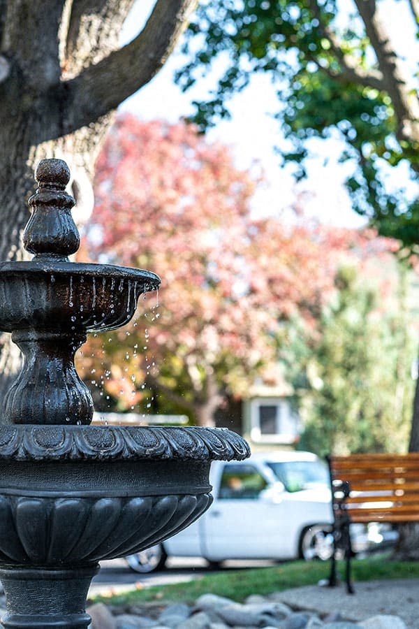 a water fountain in a park next to a bench