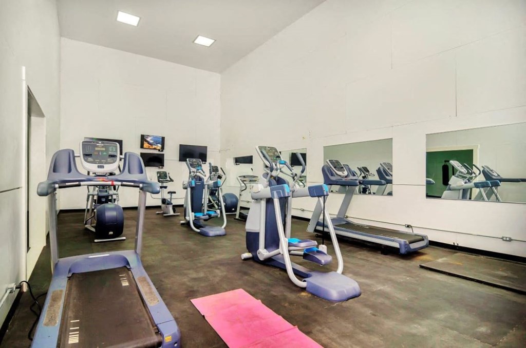 A gym with treadmills, exercise bikes, and other equipment.