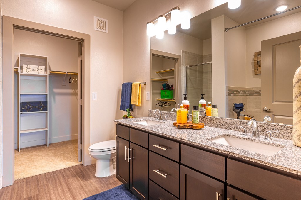 a bathroom with a toilet and a sink and a mirror