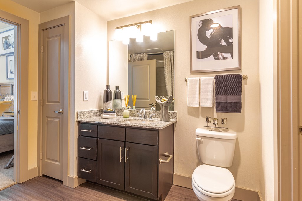 a bathroom with a toilet and a sink and a mirror