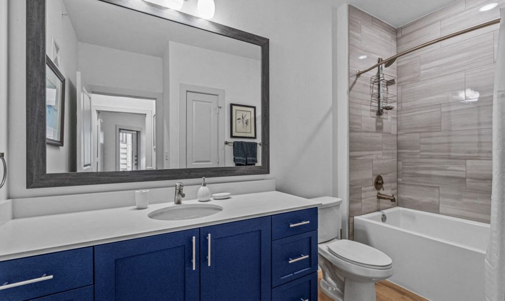 a bathroom with a sink and a toilet and a shower