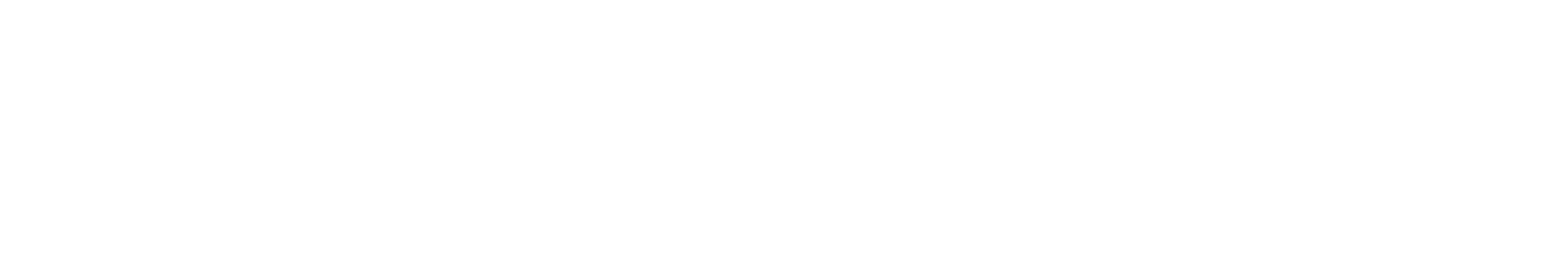 The image is a black and white graphic with the words "The Brackenridge San Antonio" written on it.