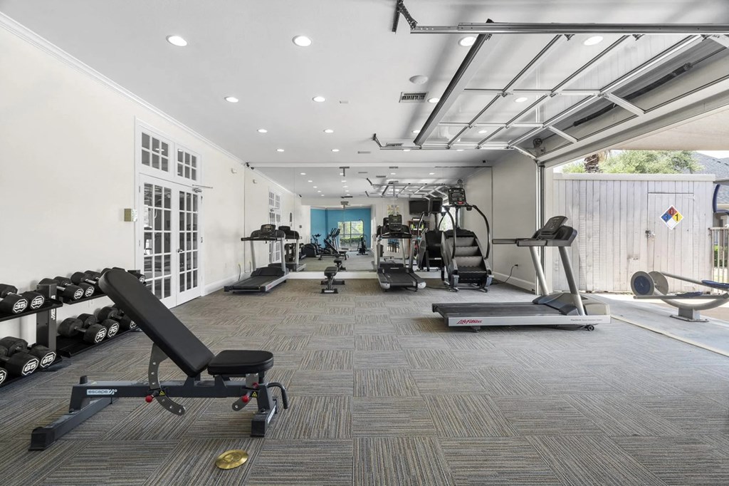 A gym with a variety of equipment including a treadmill, weights, and a bench press.