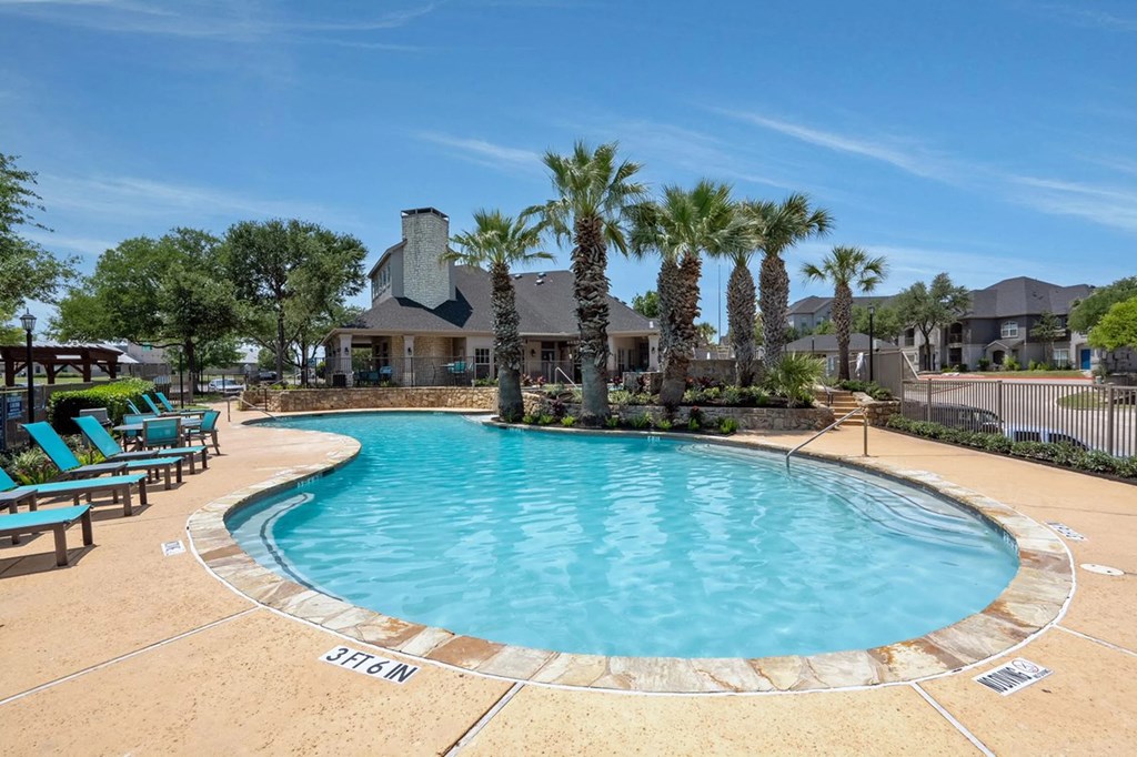 A large swimming pool surrounded by palm trees and lounge chairs.