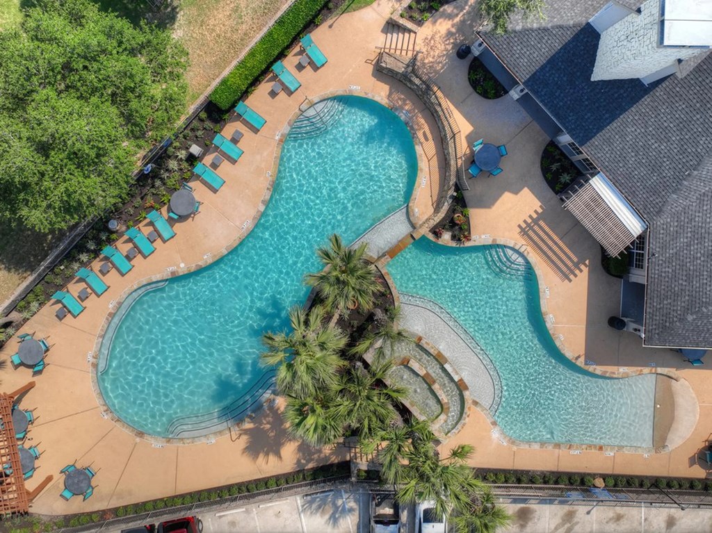 An aerial view of a swimming pool surrounded by palm trees and lounge chairs.