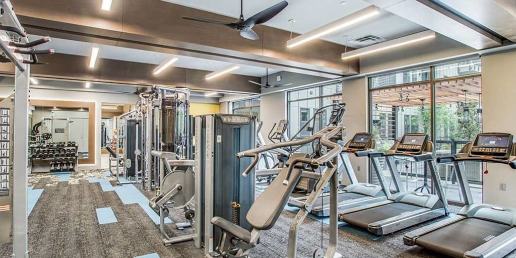 A gym with treadmills, weights, and exercise equipment.