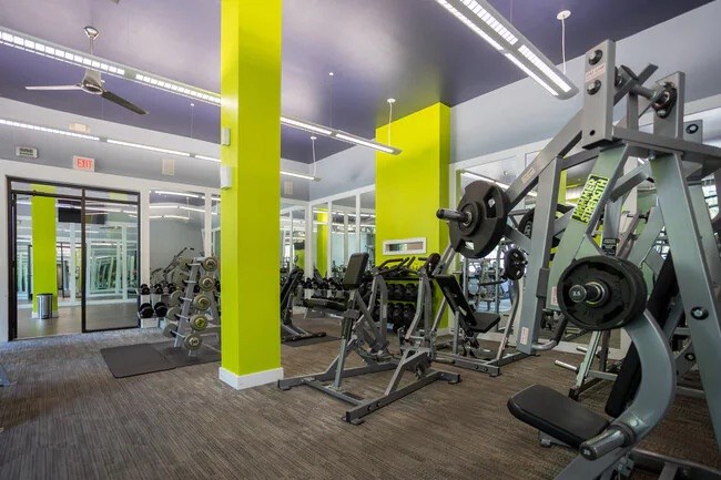 A gym with a variety of equipment including weights and a bench press.