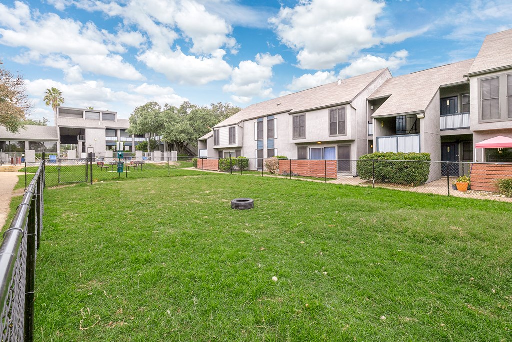 a grassy area with a tire in the middle of it