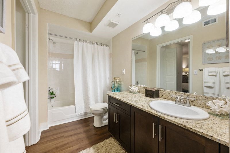 a bathroom with a sink and a toilet and a shower