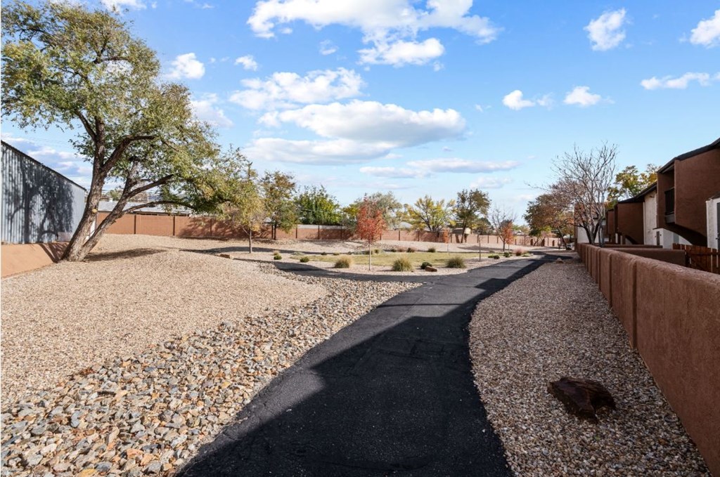 an empty street in a community with gravel and trees