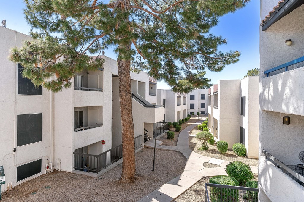 a courtyard between two apartment buildings with a tree in the middle