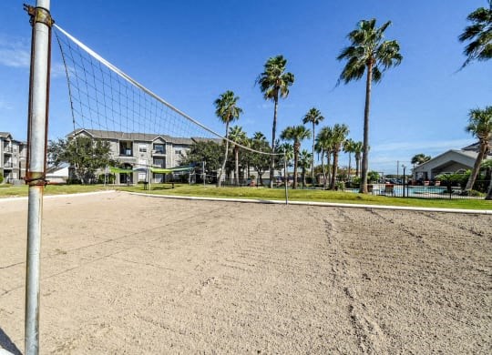 a volleyball court with palm trees and a volley ball net