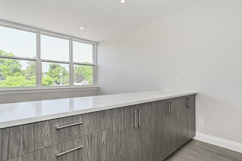 A kitchen with a counter and cabinets.