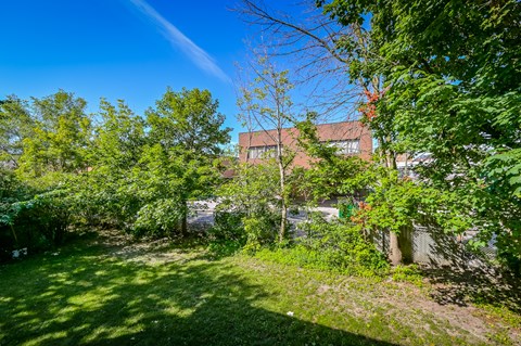 A lush green garden with a building in the background.