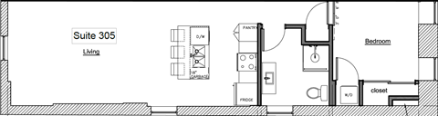 A floor plan for Suite 305 shows a living room, a bedroom, a bathroom, a kitchen, and a closet.