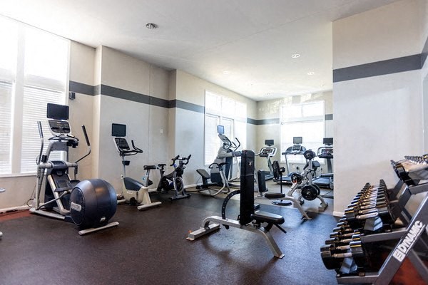 A gym with a variety of equipment including weights and cardio machines.