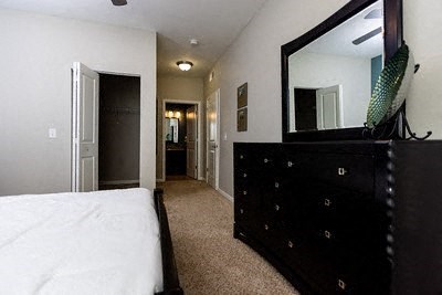 A bedroom with a large bed and a black dresser with a mirror above it.