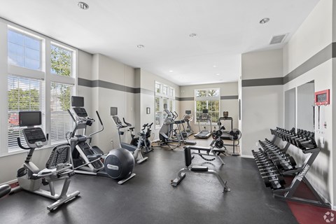 A spacious gym with a variety of equipment including treadmills, stationary bikes, and weight machines.