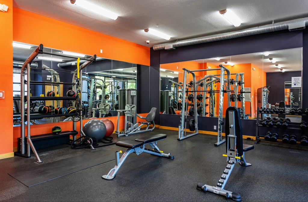 The Murals Of LynLake