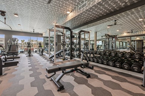 A gym with a variety of equipment including dumbbells and weight machines.