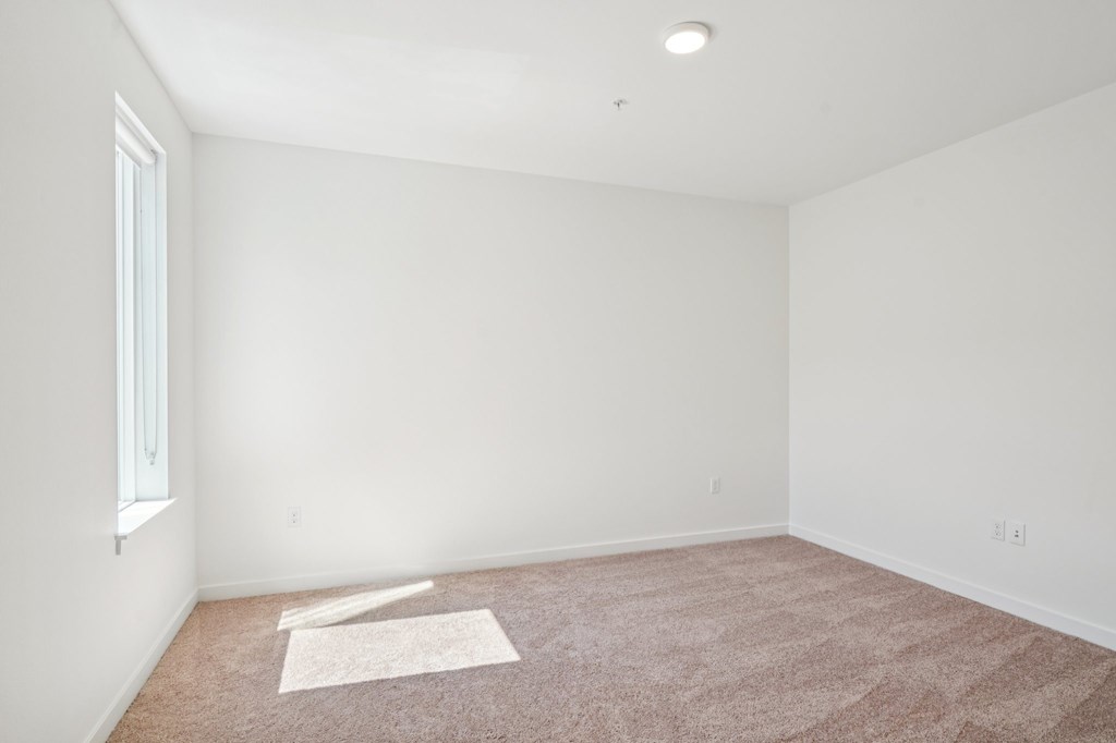 A room with a carpet and a window.