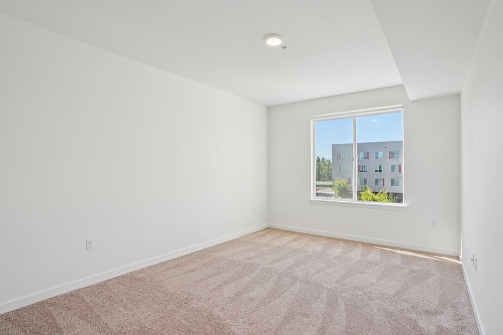 A room with a carpeted floor and a window showing a building outside.