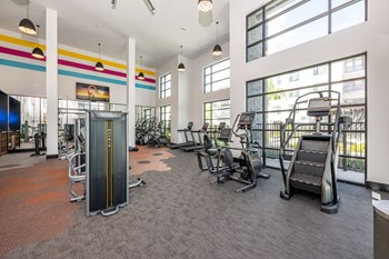 Gym at 19 South Apartments, Florida - Photo Gallery 24