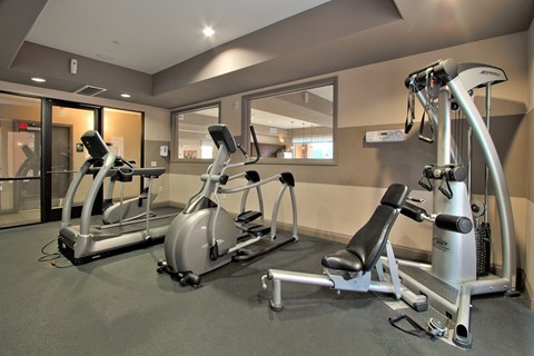 A gym with a mirror, treadmill, and exercise bike.