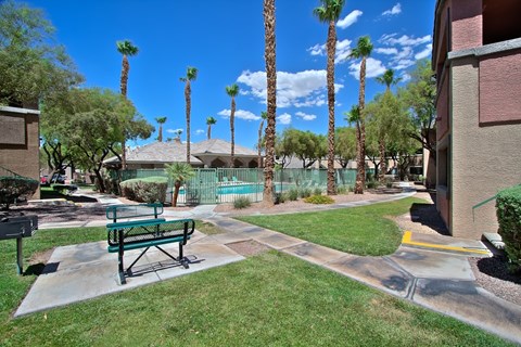A park with a bench and palm trees.