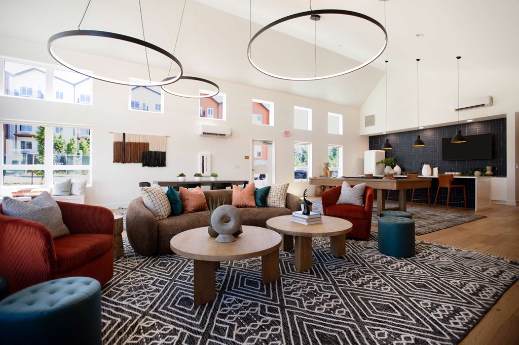 a living room filled with furniture and a large rug