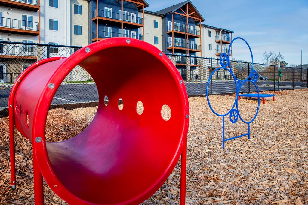 a playground at the preserve at polk apartmentsat Scouter's Mountain, Oregon, 97086