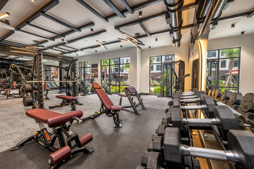 A gym with a row of benches and weights.