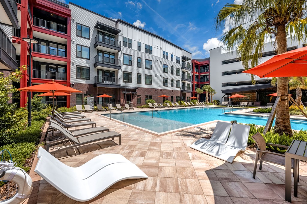 A pool area with sun loungers and a palm tree.