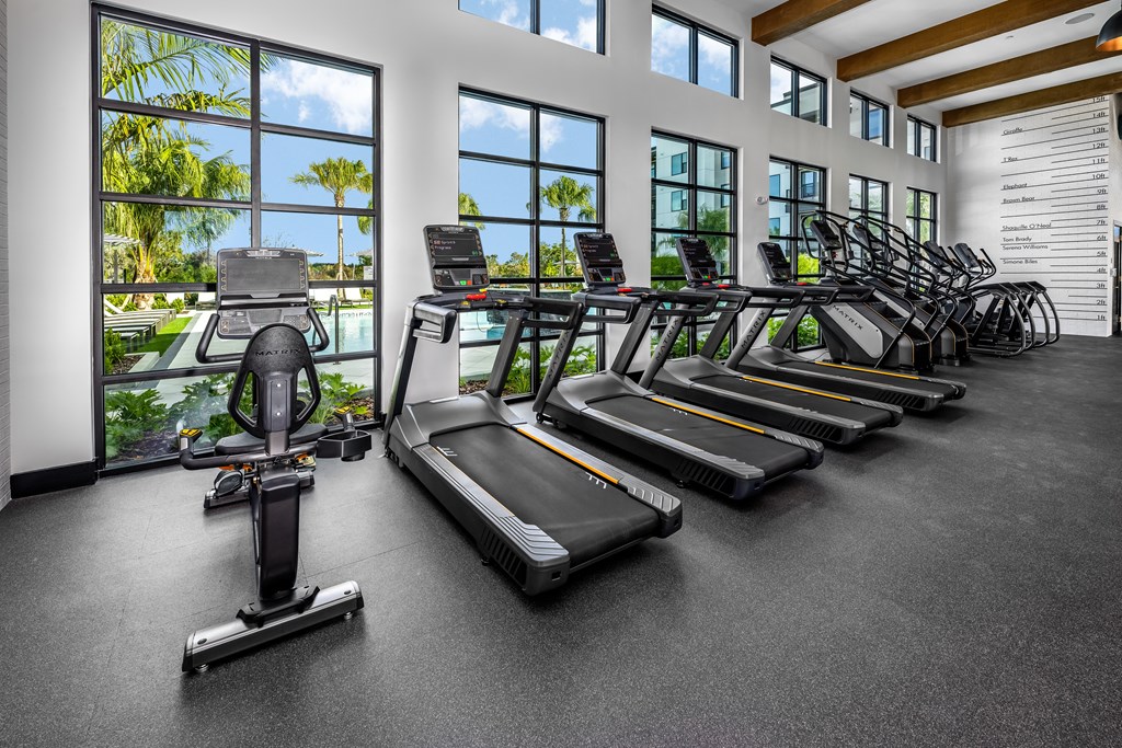 a gym with rows of cardio equipment and windows at The Alibi at Lake Lilly, Ocoee, FL