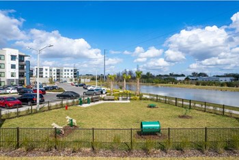 Dog park at 19 South in Kissimmee, Florida - Photo Gallery 27