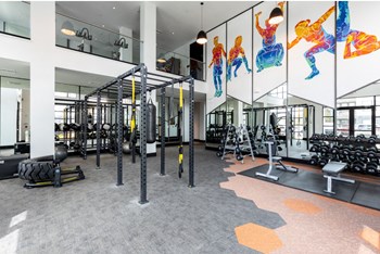 Gym with weights equipment at 19 South in Kissimmee, Florida - Photo Gallery 23