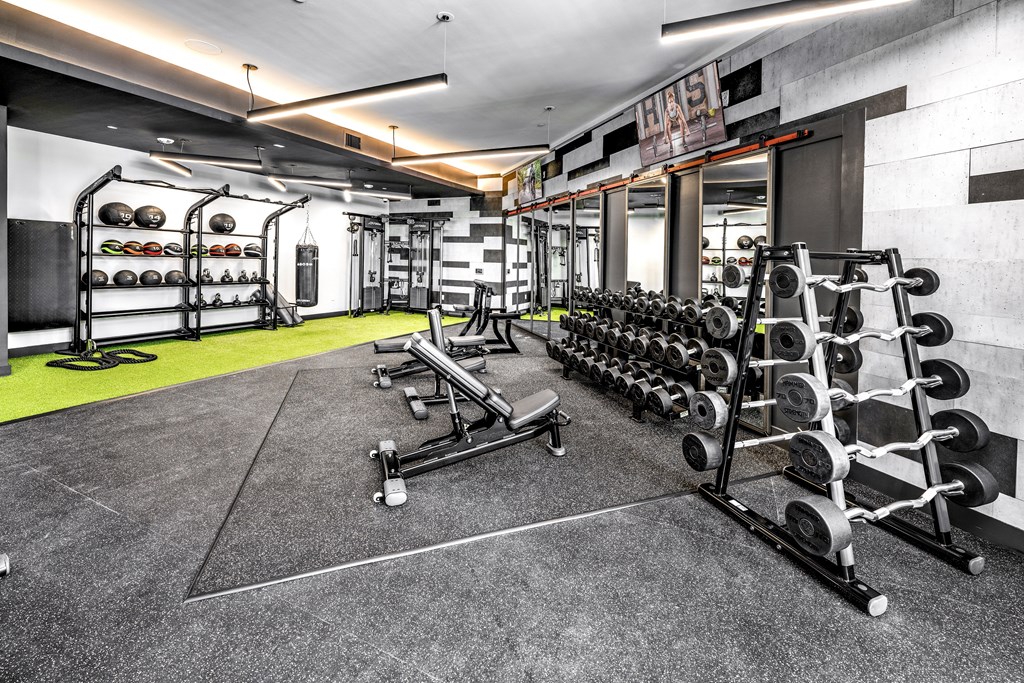 the gym is equipped with weights and cardio equipmentat The Overlook, Winter Garden, 34787
