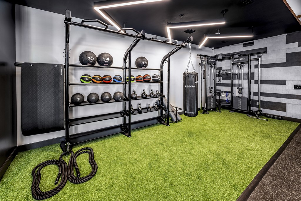 the home gym has a green carpet and shelving with helmets and other equipmentat The Overlook, Winter Garden, Florida