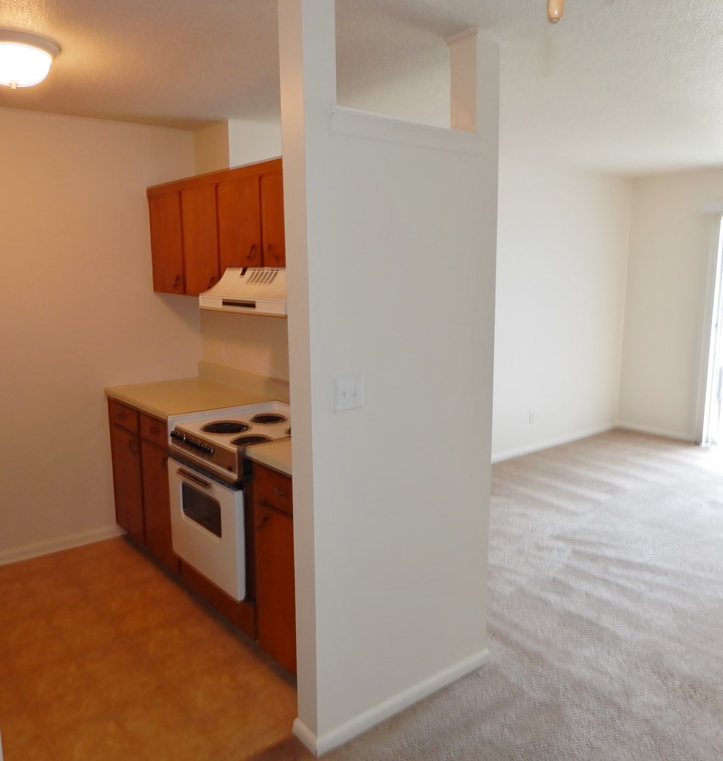 Blue Springs Apartments kitchen