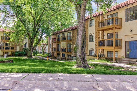 A tree in front of apartment buildings with a blue door.