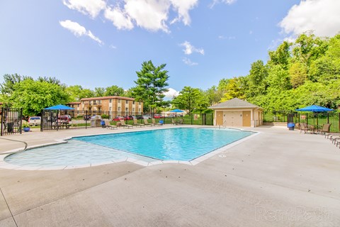 A large outdoor swimming pool surrounded by a concrete patio and trees.