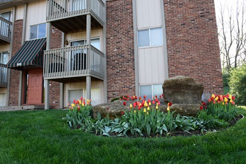 A large rock sits in front of a flower bed with red and yellow tulips.